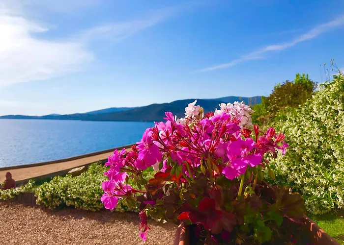 L'armandulina Sagone (Corsica)